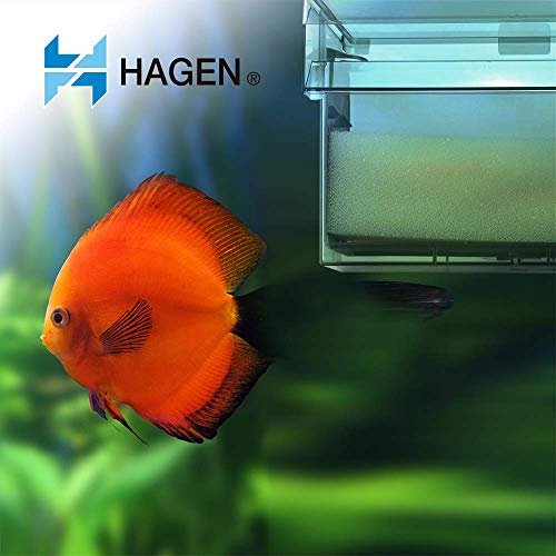 Aqua Clear 70 Foam, White (A618) - Image 3