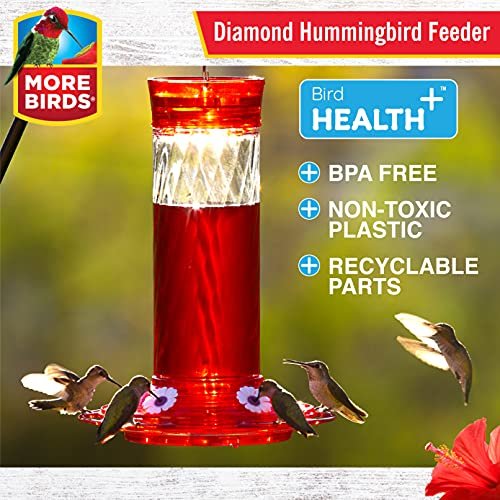 More Birds Bird Health + Diamond Hummingbird Feeder - Image 7